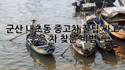 군산 내초동 중고차 꿀팁🍯: 싸고 좋은 차 찾는 비법!