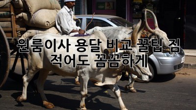 원룸이사 용달 비교 꿀팁🍯 짐 적어도 꼼꼼하게!