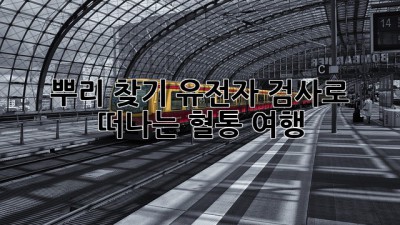 뿌리 찾기🔍 유전자 검사로 떠나는 혈통 여행! 🗺️